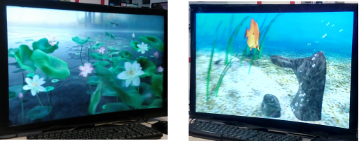 裸眼双视3D显示屏